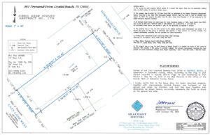 Vacant Lot Survey